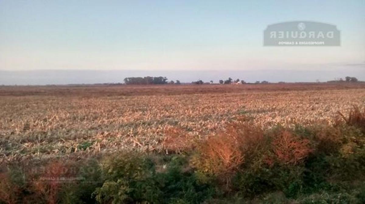 Picture of Home For Sale in Canuelas, Buenos Aires, Argentina