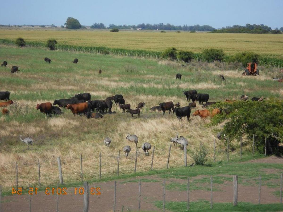 Picture of Home For Sale in Punta Indio, Buenos Aires, Argentina