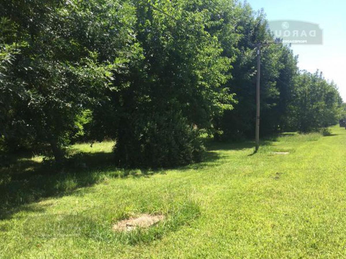 Picture of Residential Land For Sale in Presidente Peron, Buenos Aires, Argentina