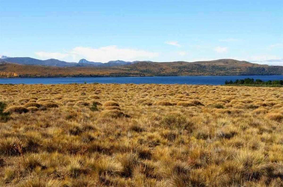Picture of Residential Land For Sale in San Carlos De Bariloche, Rio Negro, Argentina