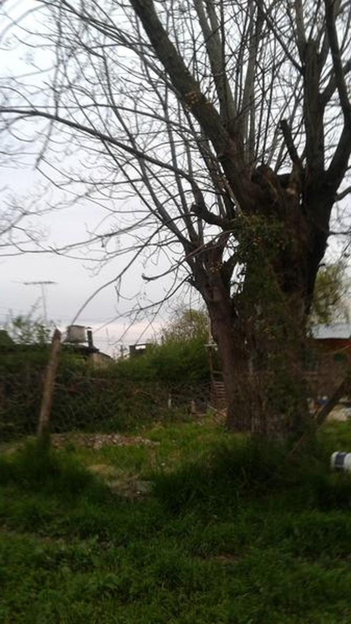 Picture of Residential Land For Sale in Canuelas, Buenos Aires, Argentina