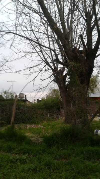 Residential Land For Sale in