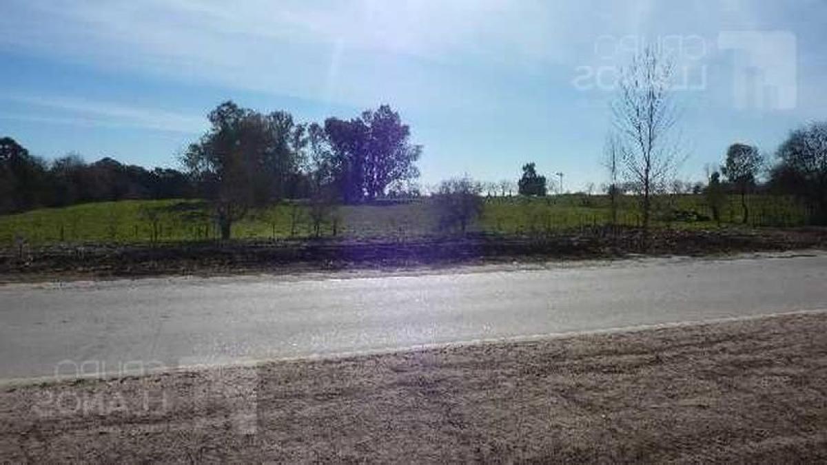 Picture of Home For Sale in Lujan, Buenos Aires, Argentina