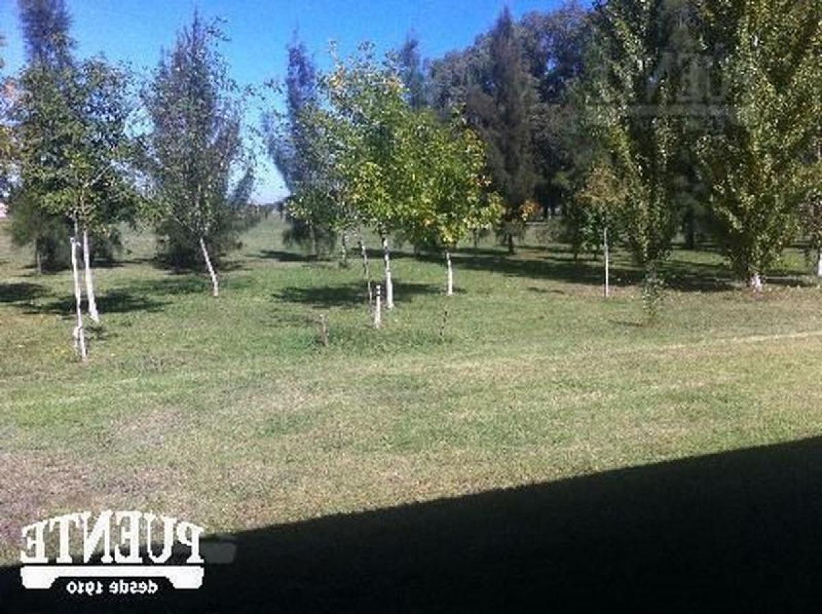 Picture of Home For Sale in Brandsen, Buenos Aires, Argentina