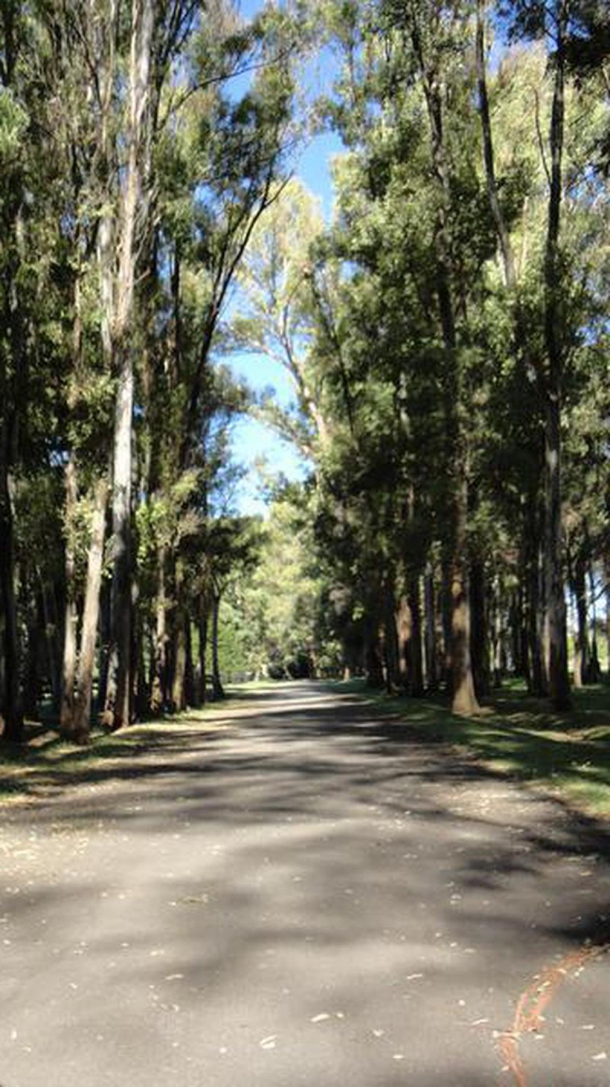 Picture of Residential Land For Sale in General Rodriguez, Buenos Aires, Argentina