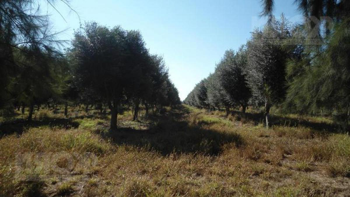 Picture of Home For Sale in La Rioja, La Rioja, Argentina