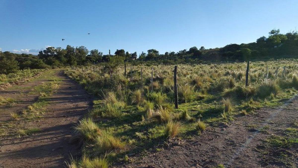 Picture of Residential Land For Sale in Cordoba, Cordoba, Argentina