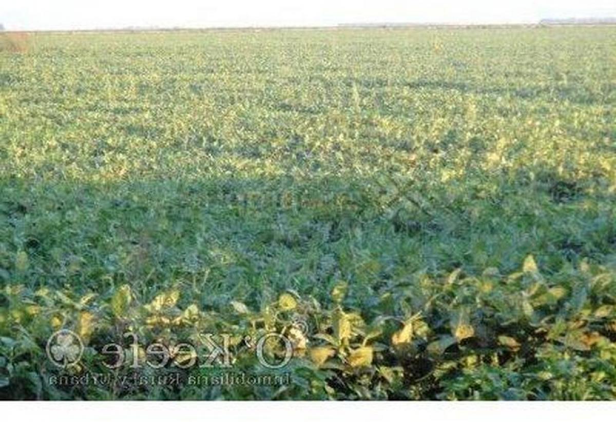 Picture of Home For Sale in Carlos Tejedor, Buenos Aires, Argentina