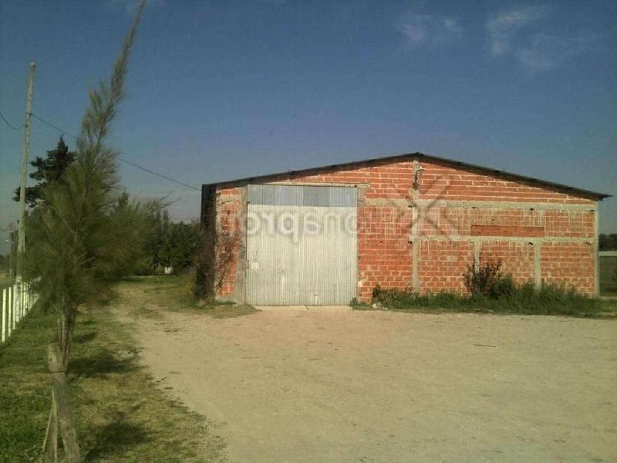 Picture of Other Commercial For Sale in Bs.As. G.B.A. Zona Sur, Buenos Aires, Argentina