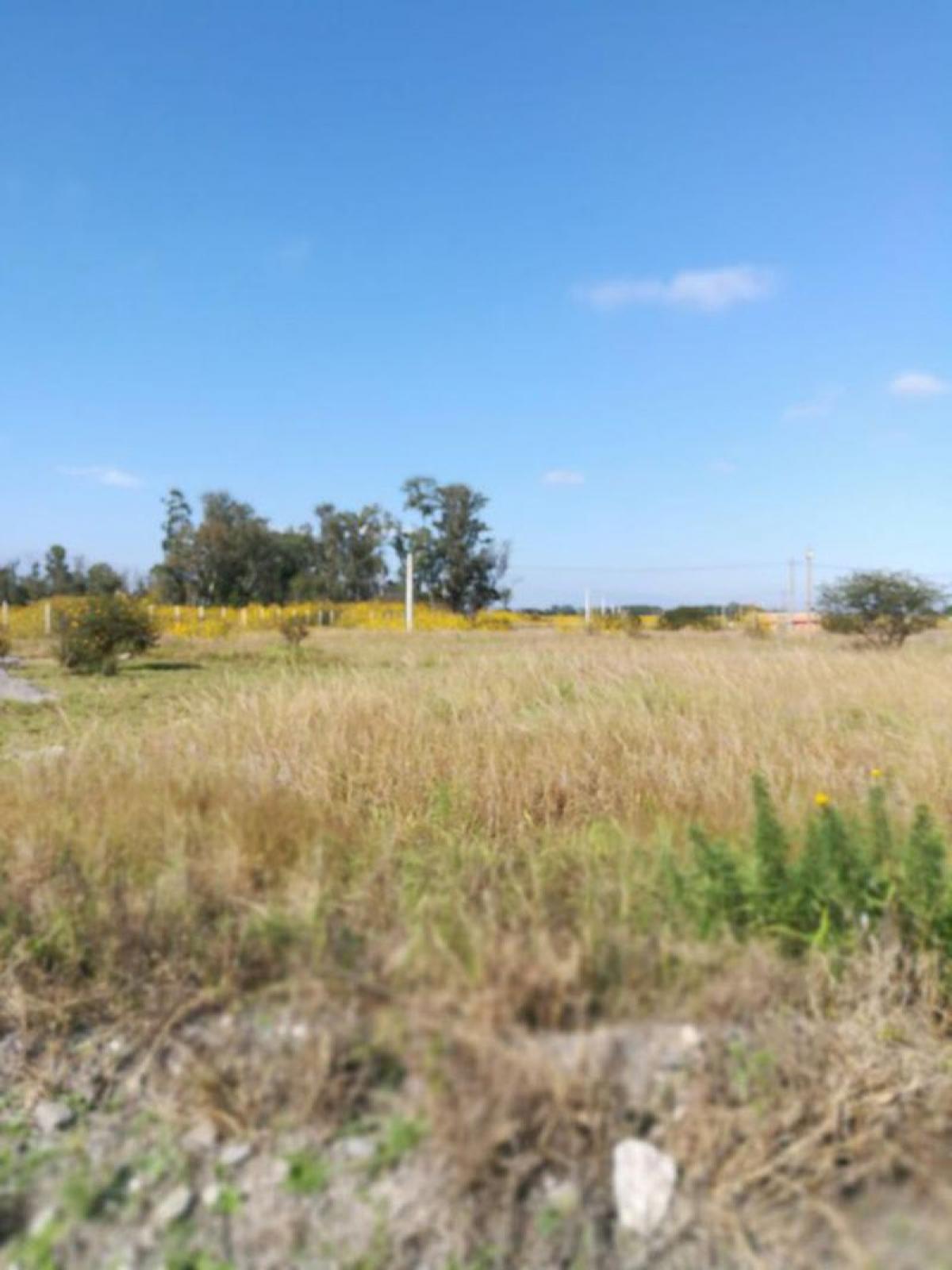 Picture of Residential Land For Sale in Salta, Salta, Argentina