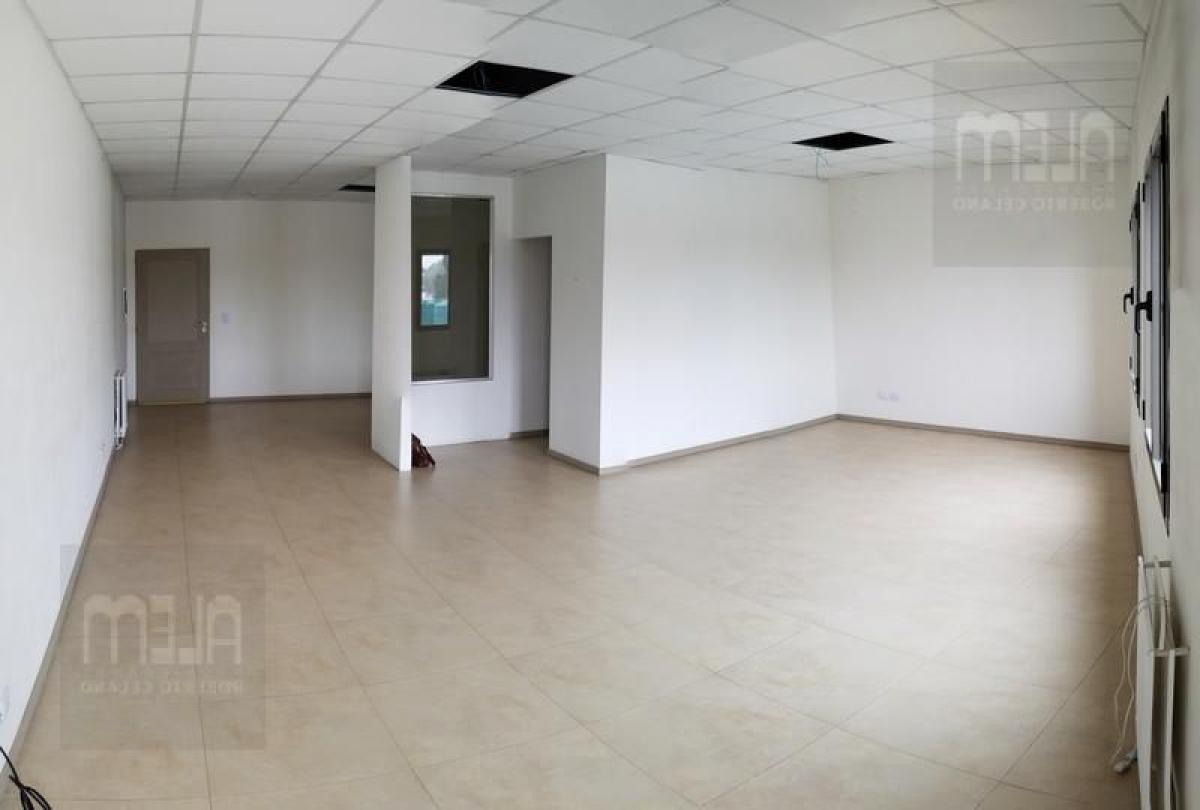 Picture of Office For Sale in Ezeiza, Buenos Aires, Argentina