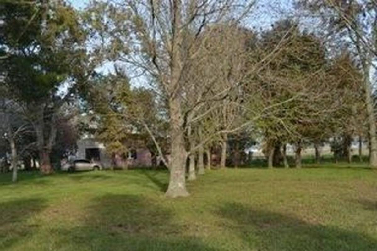 Picture of Home For Sale in Canuelas, Buenos Aires, Argentina