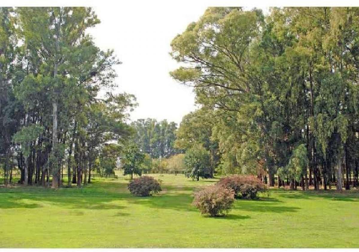 Picture of Residential Land For Sale in Bs.As. G.B.A. Zona Oeste, Buenos Aires, Argentina