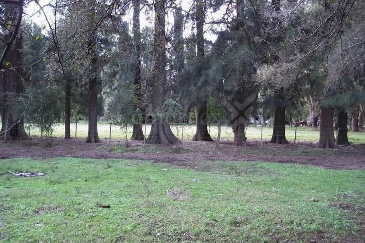 Picture of Residential Land For Sale in Brandsen, Buenos Aires, Argentina