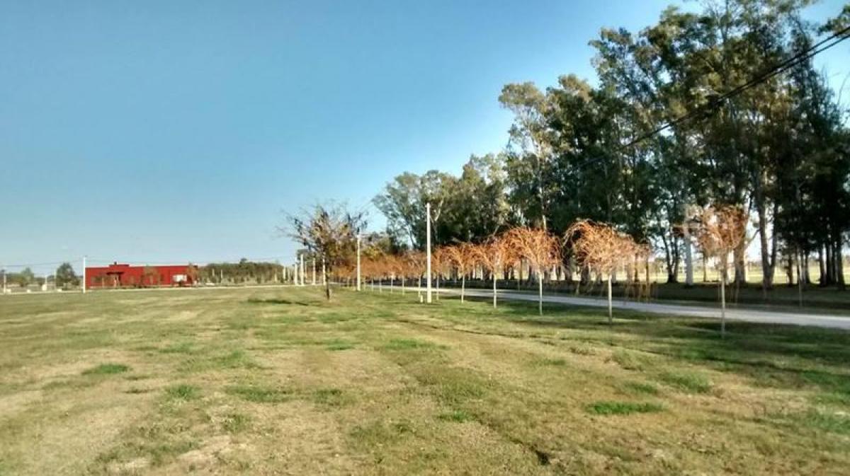 Picture of Residential Land For Sale in Brandsen, Buenos Aires, Argentina