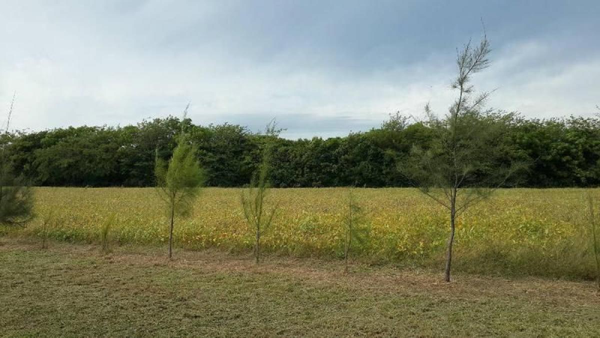 Picture of Home For Sale in San Andres De Giles, Buenos Aires, Argentina