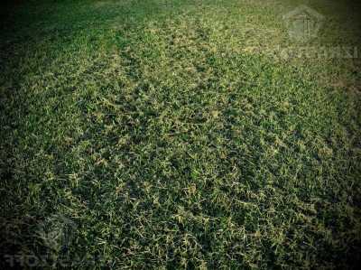 Residential Land For Sale in Pilar, Argentina