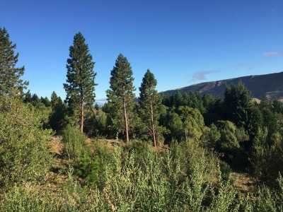 Residential Land For Sale in Chubut, Argentina