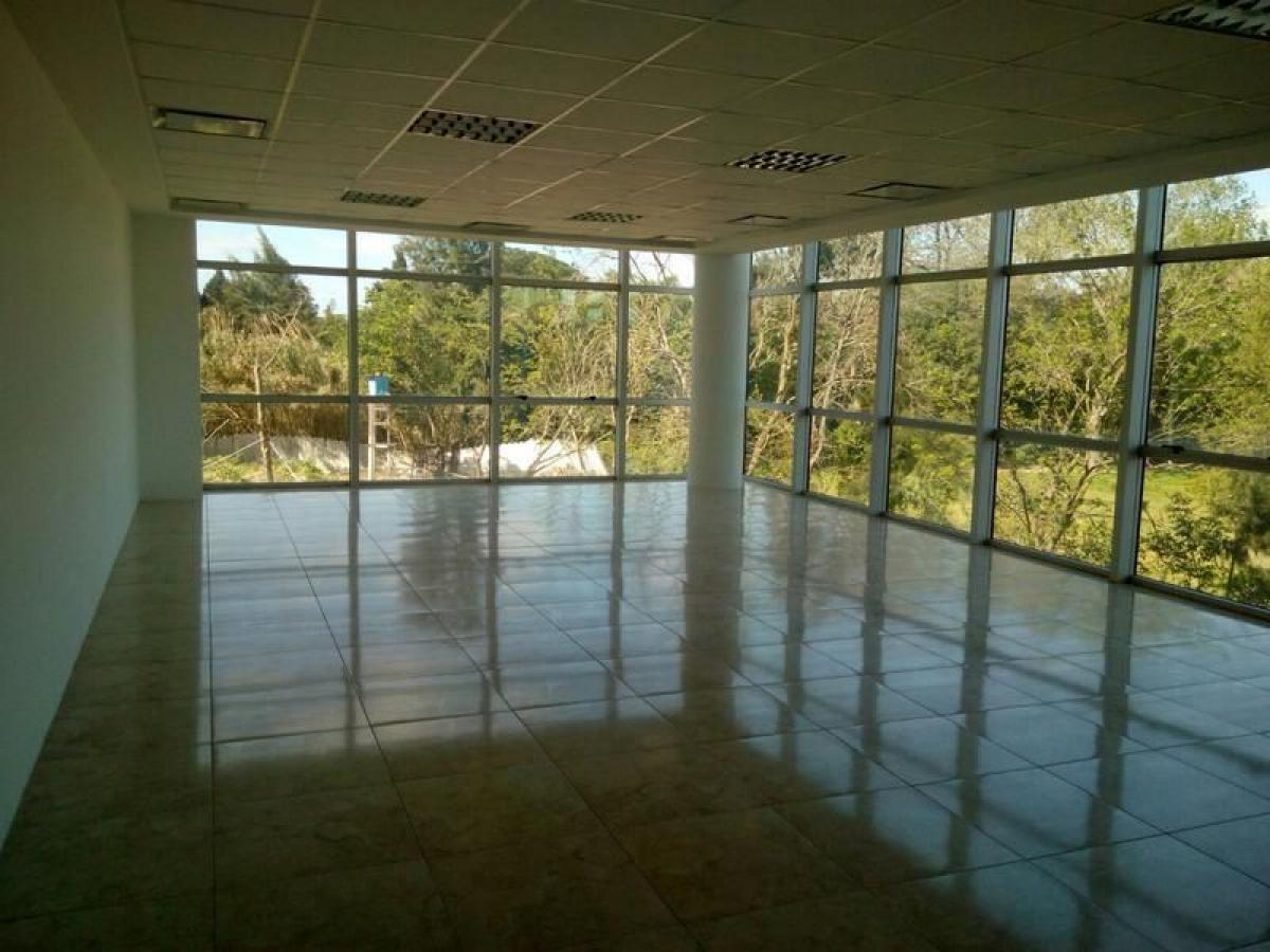 Picture of Office For Sale in Esteban Echeverria, Buenos Aires, Argentina