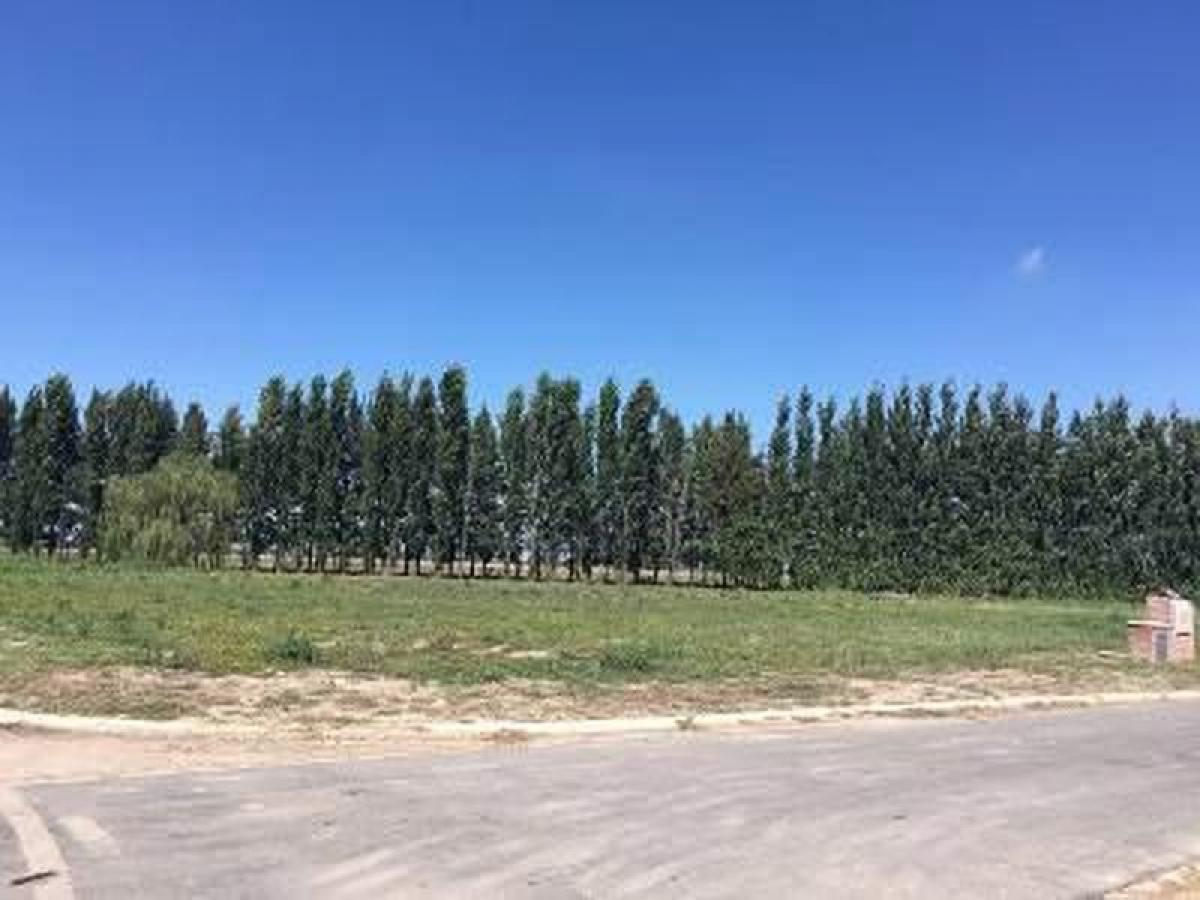 Picture of Residential Land For Sale in Ezeiza, Buenos Aires, Argentina