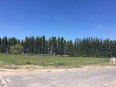 Residential Land For Sale in Ezeiza, Argentina