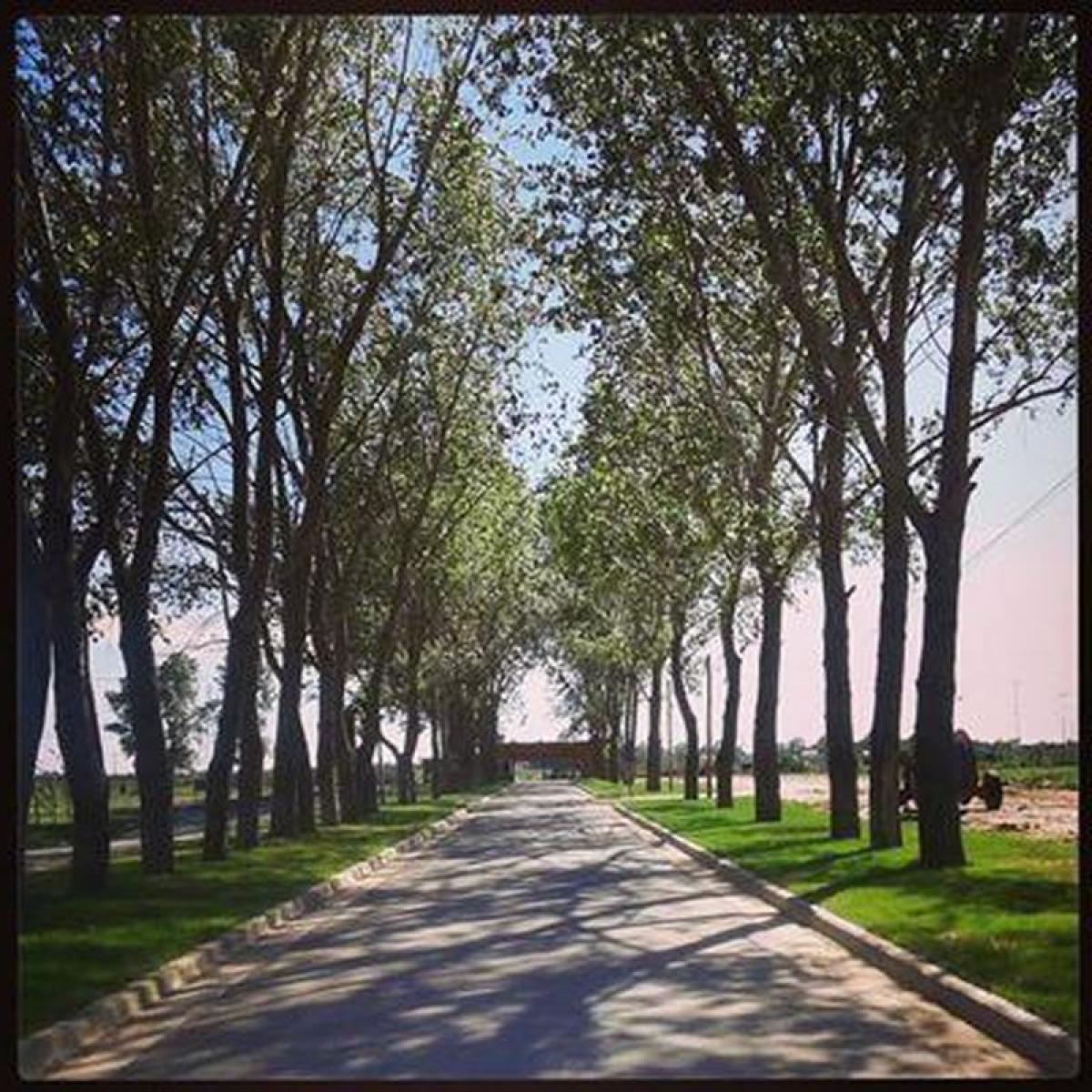 Picture of Residential Land For Sale in Esteban Echeverria, Buenos Aires, Argentina