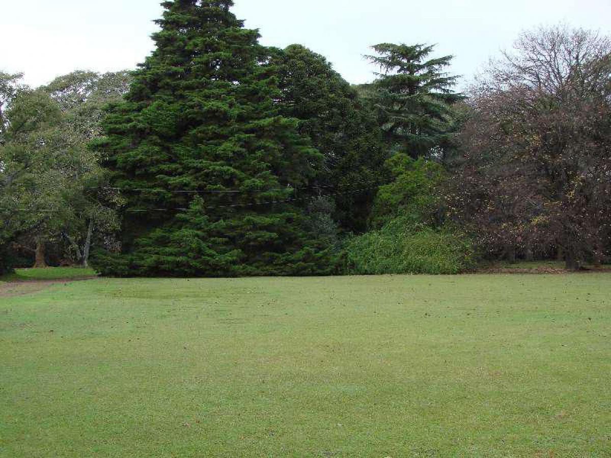 Picture of Residential Land For Sale in San Fernando, Buenos Aires, Argentina