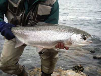 Home For Sale in Santa Cruz, Argentina