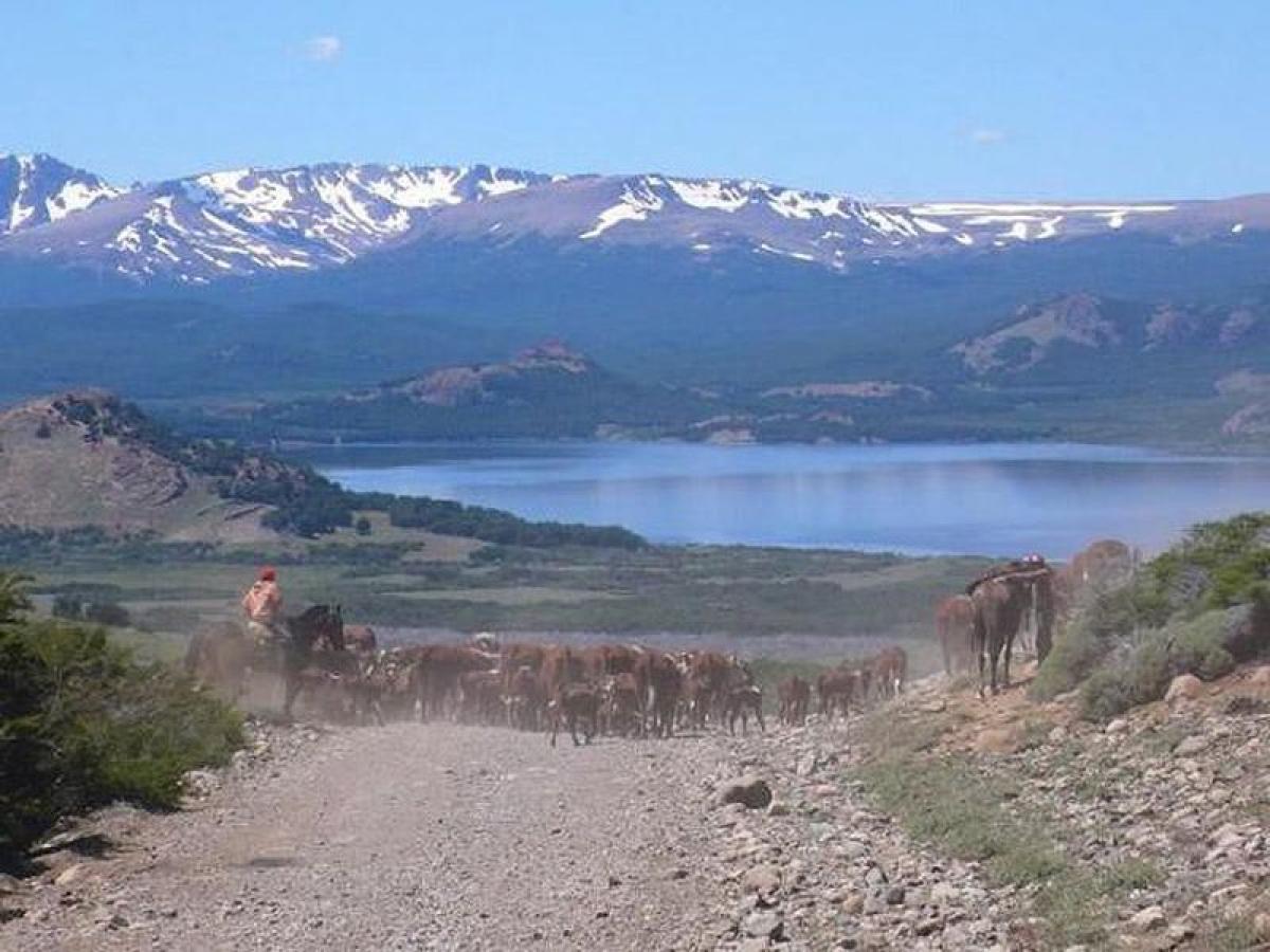 Picture of Home For Sale in Chubut, Chubut, Argentina