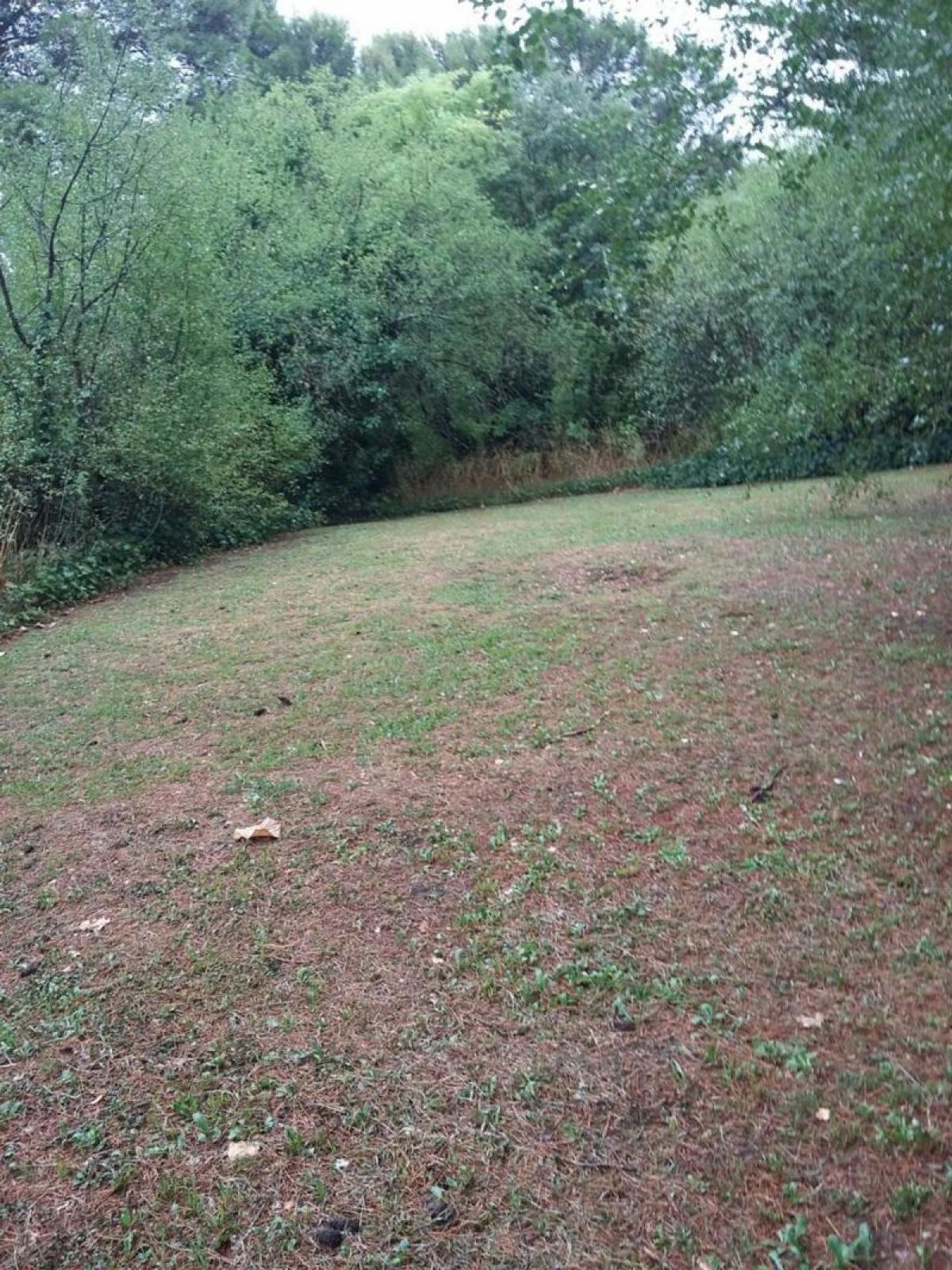 Picture of Residential Land For Sale in Tornquist, Buenos Aires, Argentina