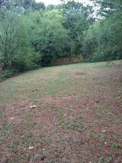 Residential Land For Sale in Tornquist, Argentina