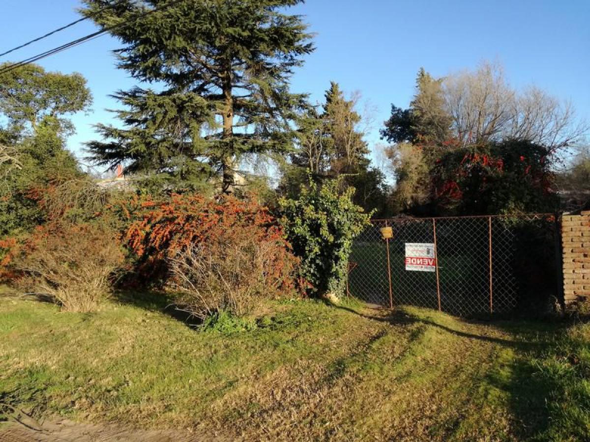 Picture of Residential Land For Sale in La Pampa, Cordoba, Argentina