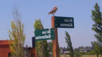 Residential Land For Sale in Campana, Argentina