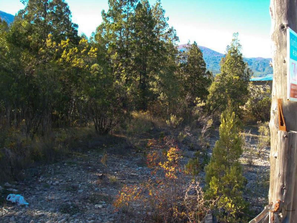 Picture of Other Commercial For Sale in Chubut, Chubut, Argentina