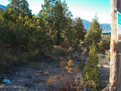 Other Commercial For Sale in Chubut, Argentina