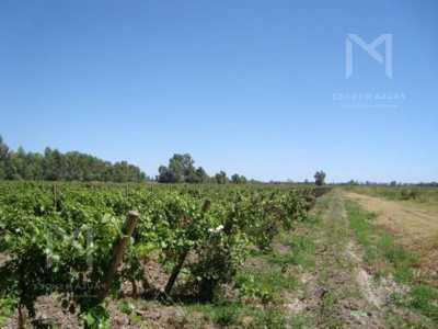 Residential Land For Sale in Mendoza, Argentina