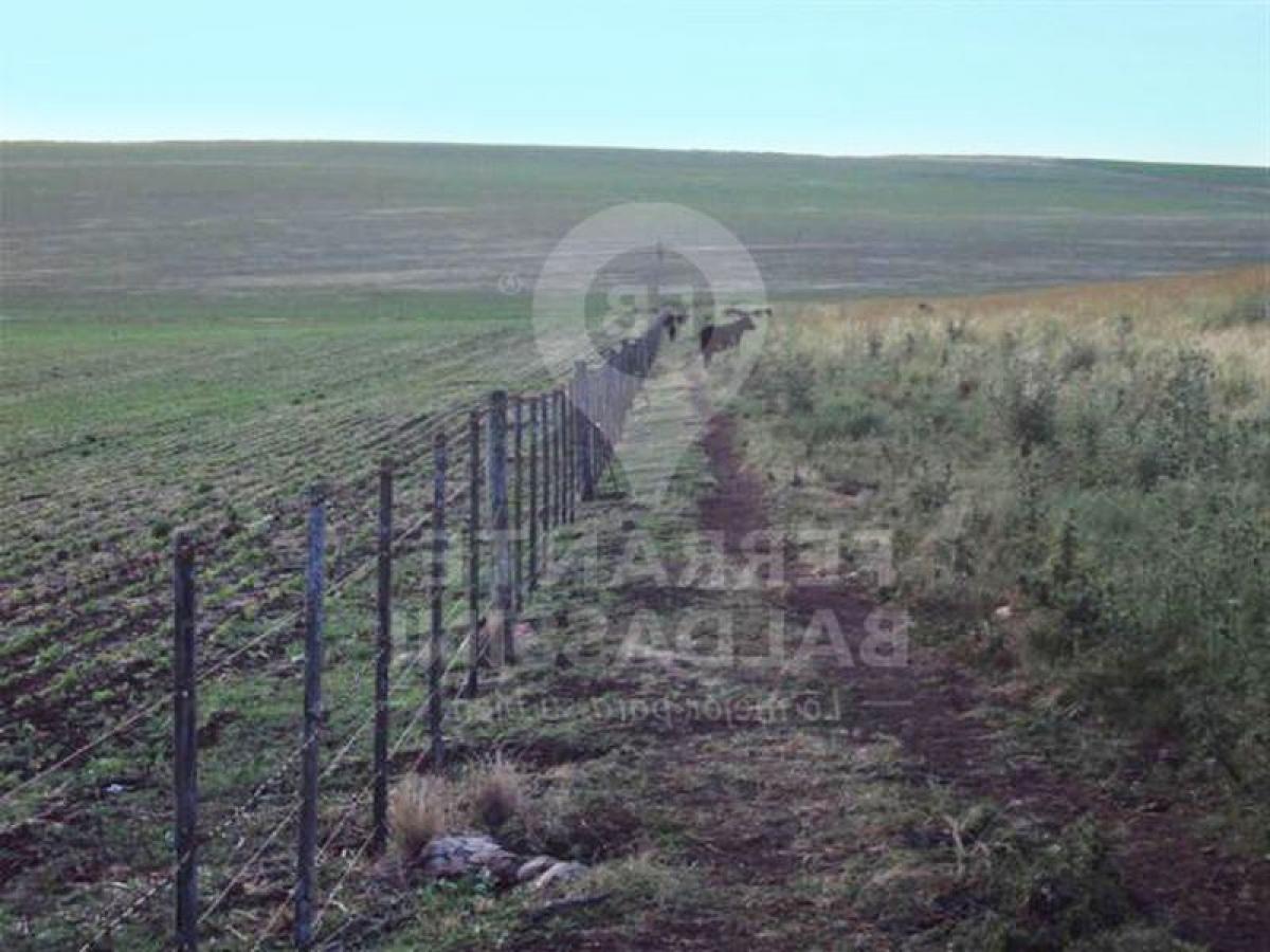 Picture of Home For Sale in Buenos Aires Interior, Buenos Aires, Argentina
