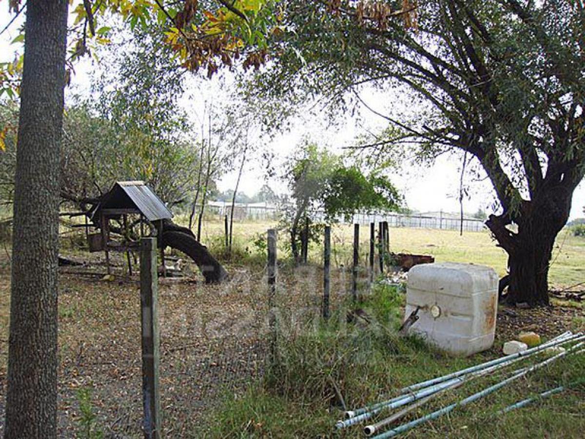 Picture of Farm For Sale in Esteban Echeverria, Buenos Aires, Argentina