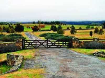 Residential Land For Sale in Tandil, Argentina