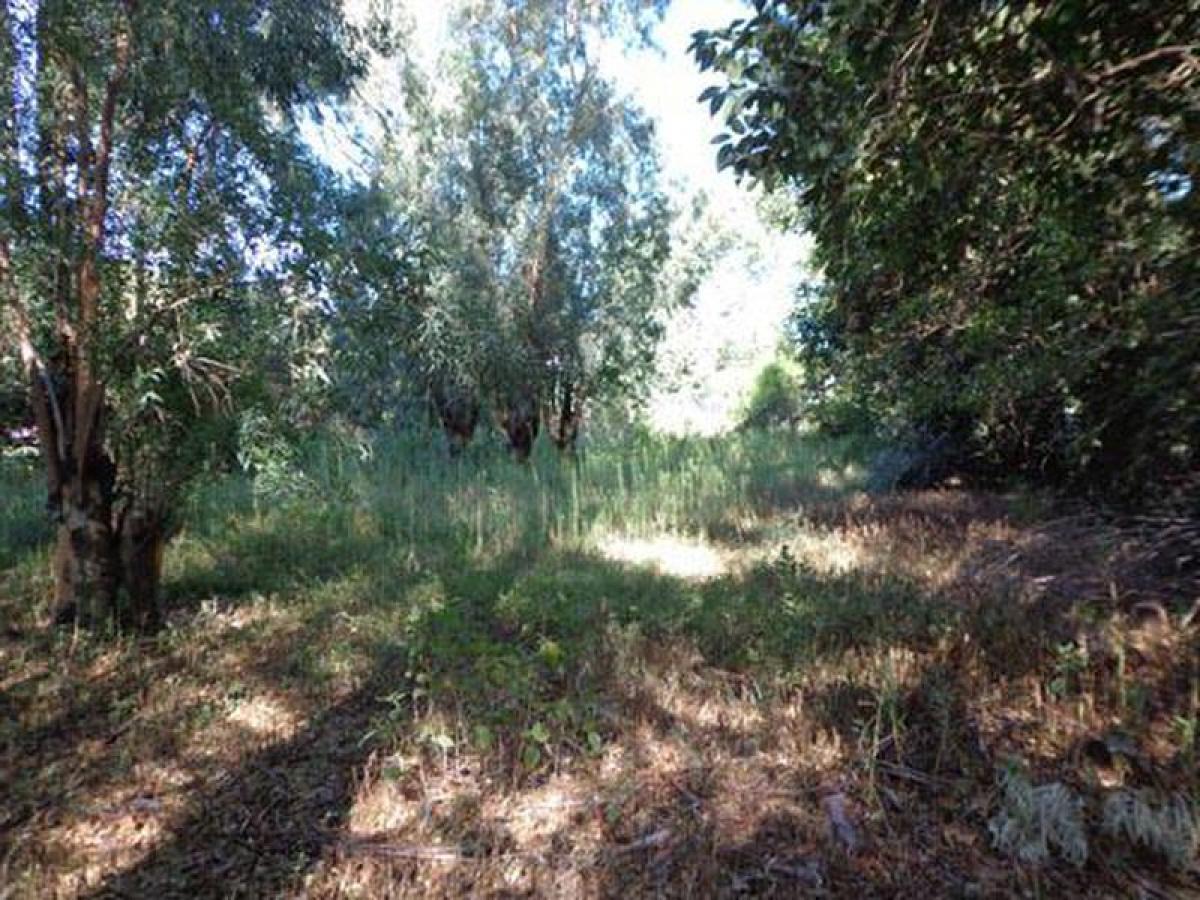 Picture of Residential Land For Sale in La Pampa, Cordoba, Argentina