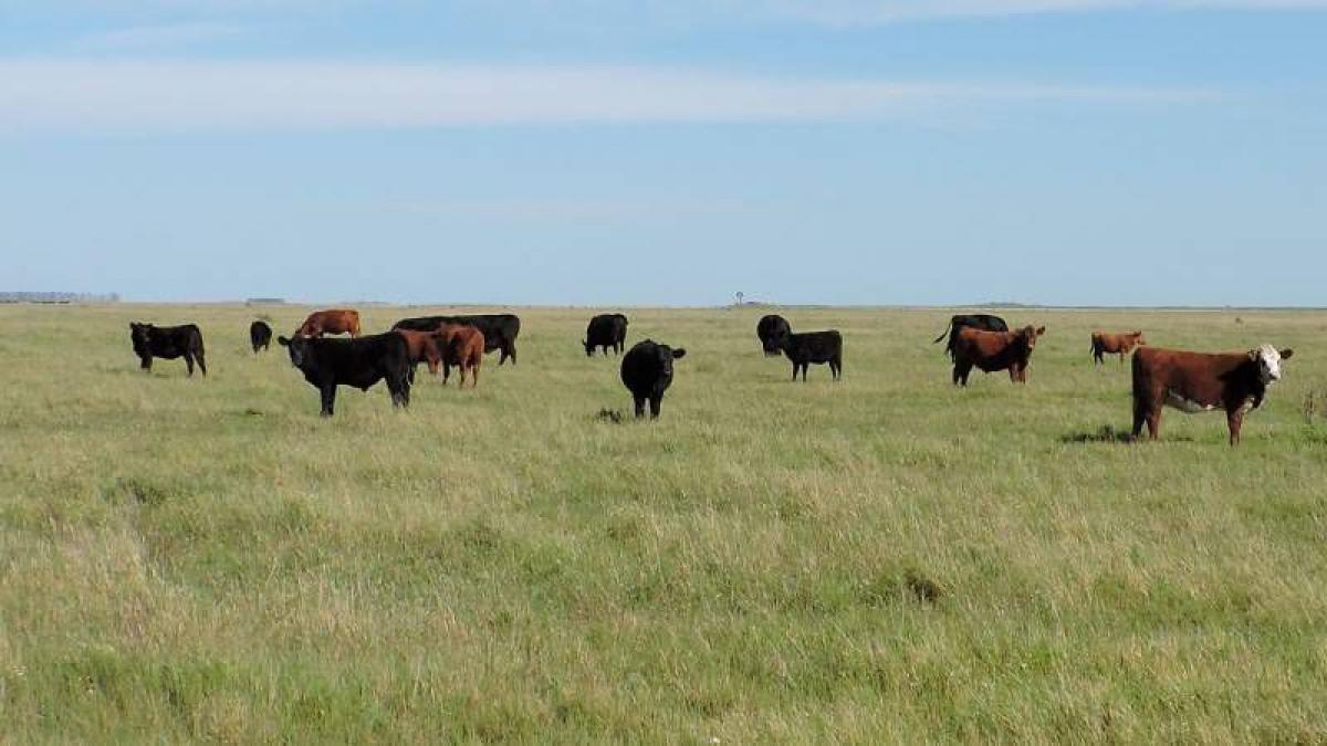 Picture of Home For Sale in Pila, Buenos Aires, Argentina