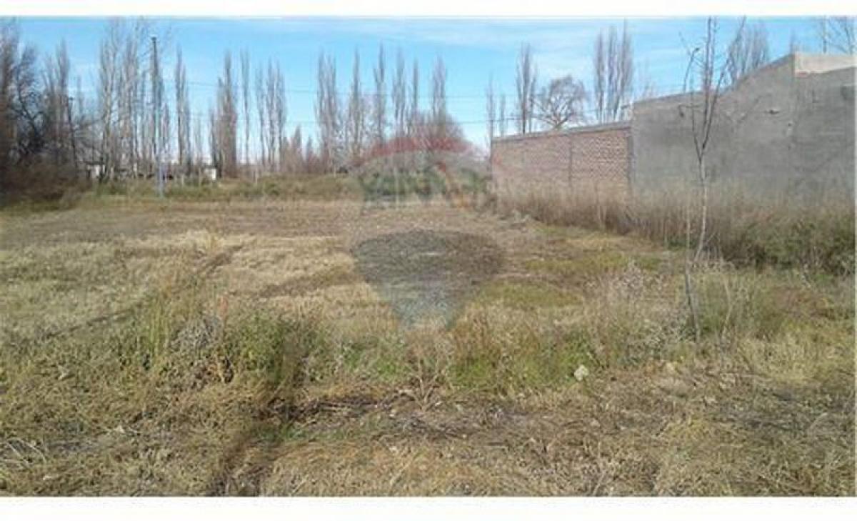 Picture of Residential Land For Sale in Rio Negro, Rio Negro, Argentina
