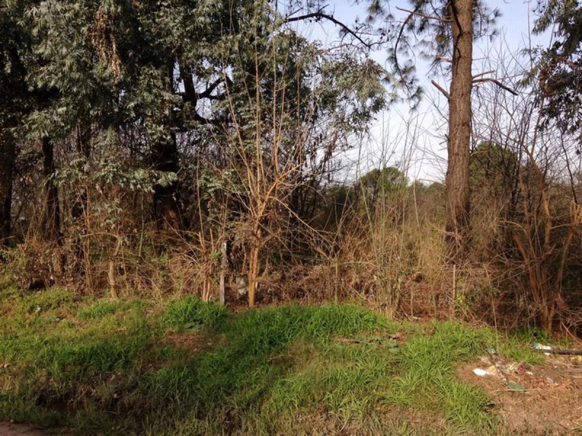 Picture of Residential Land For Sale in Exaltacion De La Cruz, Buenos Aires, Argentina