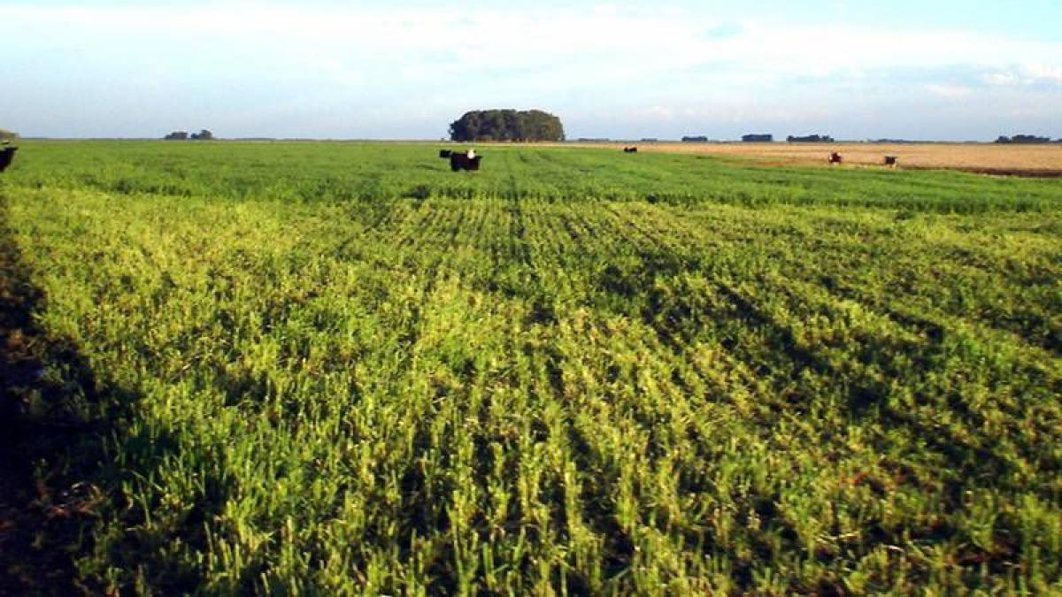 Picture of Home For Sale in General Alvear, Buenos Aires, Argentina