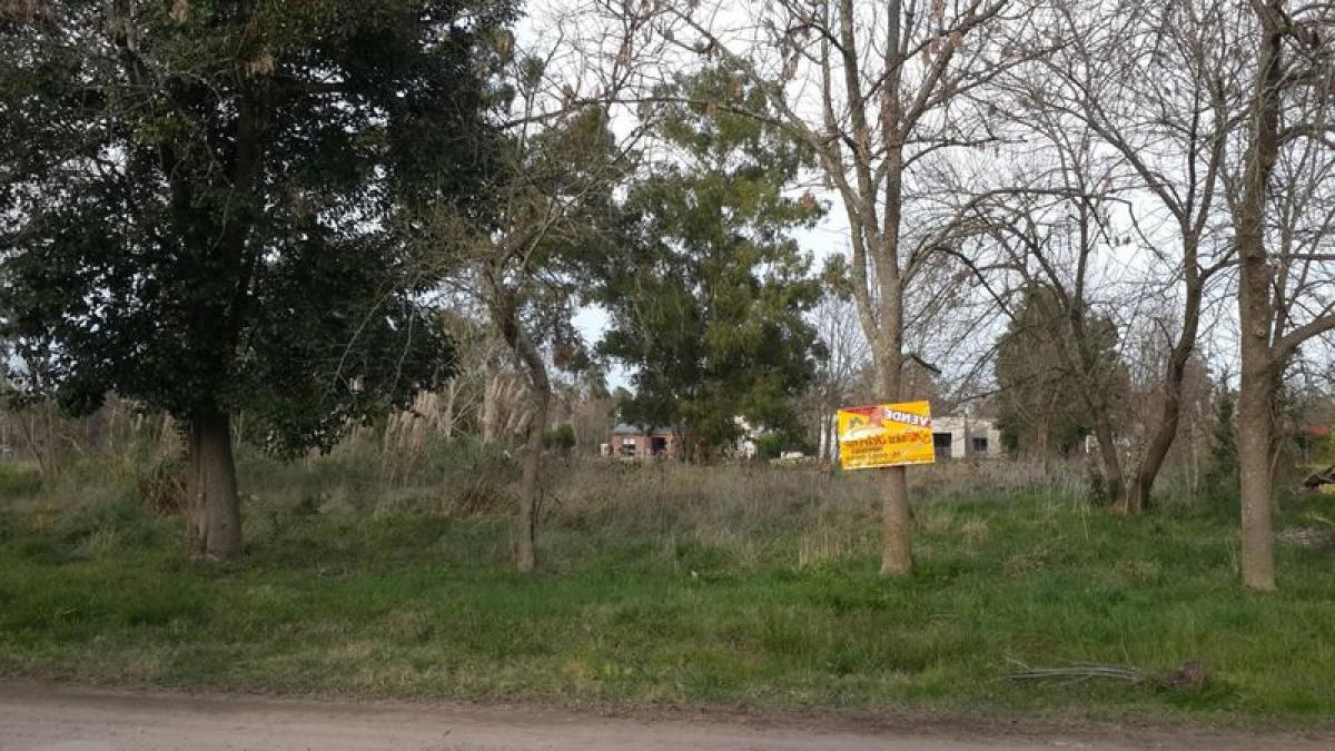 Picture of Residential Land For Sale in Presidente Peron, Buenos Aires, Argentina