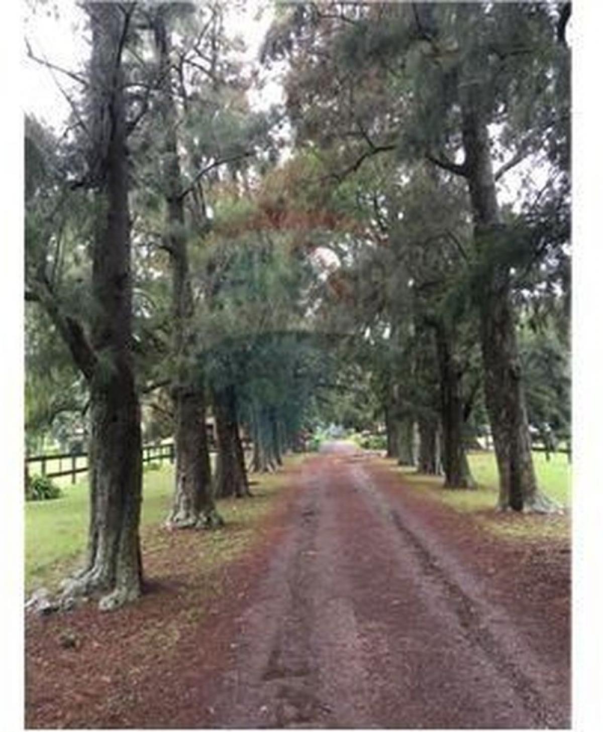 Picture of Residential Land For Sale in Exaltacion De La Cruz, Buenos Aires, Argentina