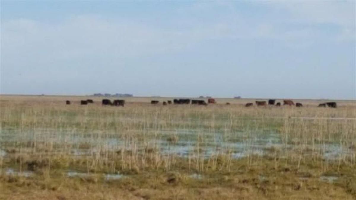 Picture of Residential Land For Sale in Maipu, Buenos Aires, Argentina