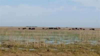 Residential Land For Sale in Maipu, Argentina