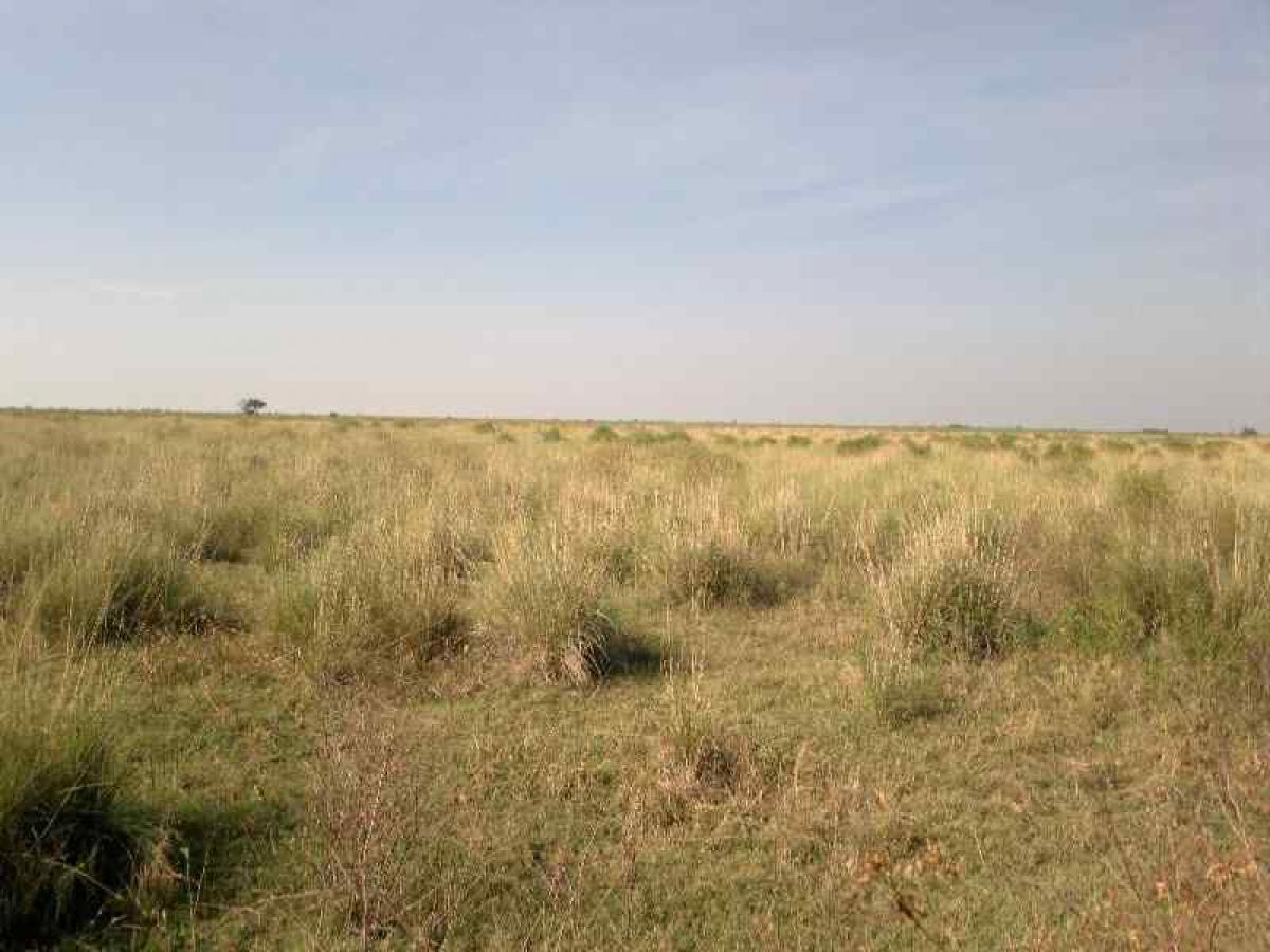 Picture of Other Commercial For Sale in Santiago Del Estero, Santiago del Estero, Argentina