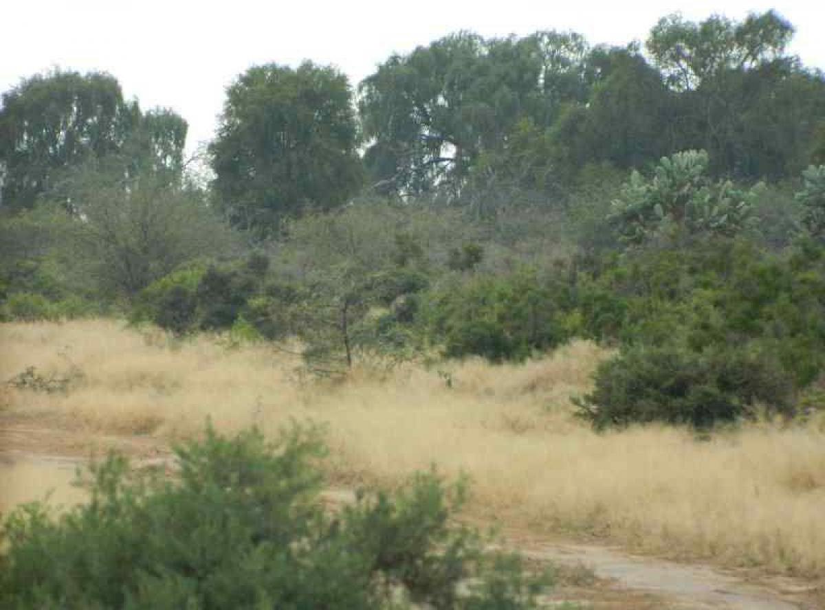 Picture of Other Commercial For Sale in Santiago Del Estero, Santiago del Estero, Argentina